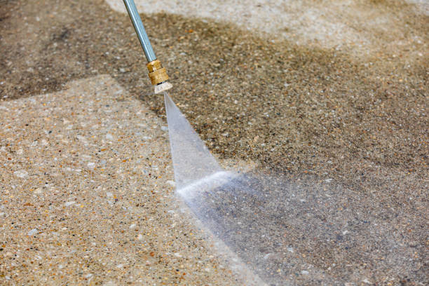 Best Roof Washing  in Saluda, SC